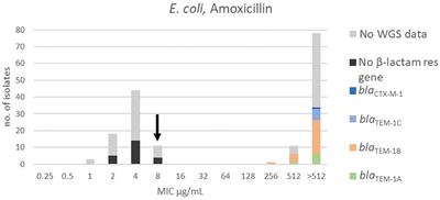 Employing MIC Data for Mink Pathogens to Propose Tentative Epidemiological Cut-Off Values: A Step Toward Rationalizing Antimicrobial Use in Mink